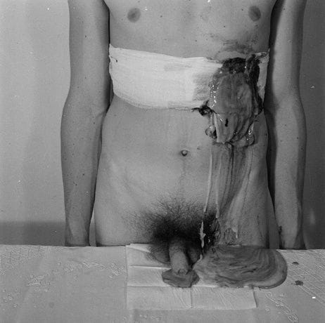 Artwork Title: undefined