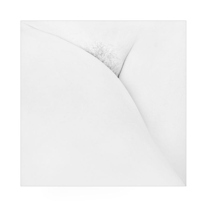 Artwork Title: undefined