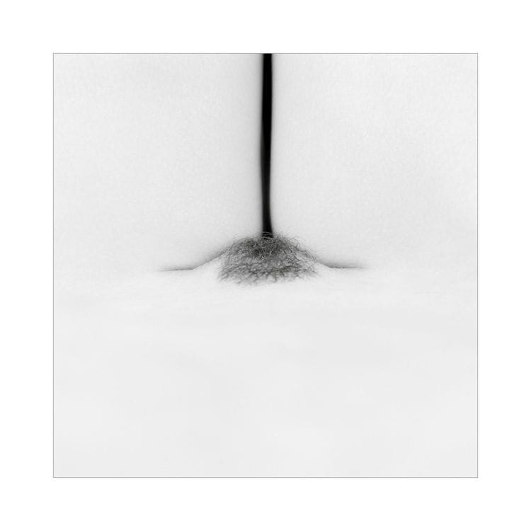 Artwork Title: undefined