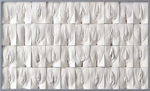 Artwork Title: Great Wall of Vagina