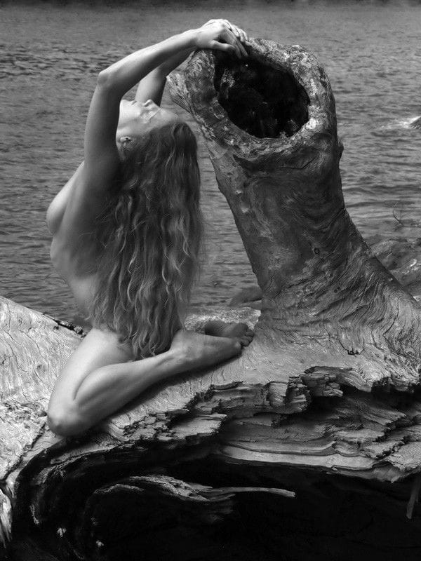 Artwork Title: undefined