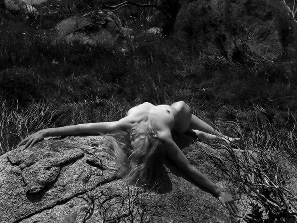 Artwork Title: undefined