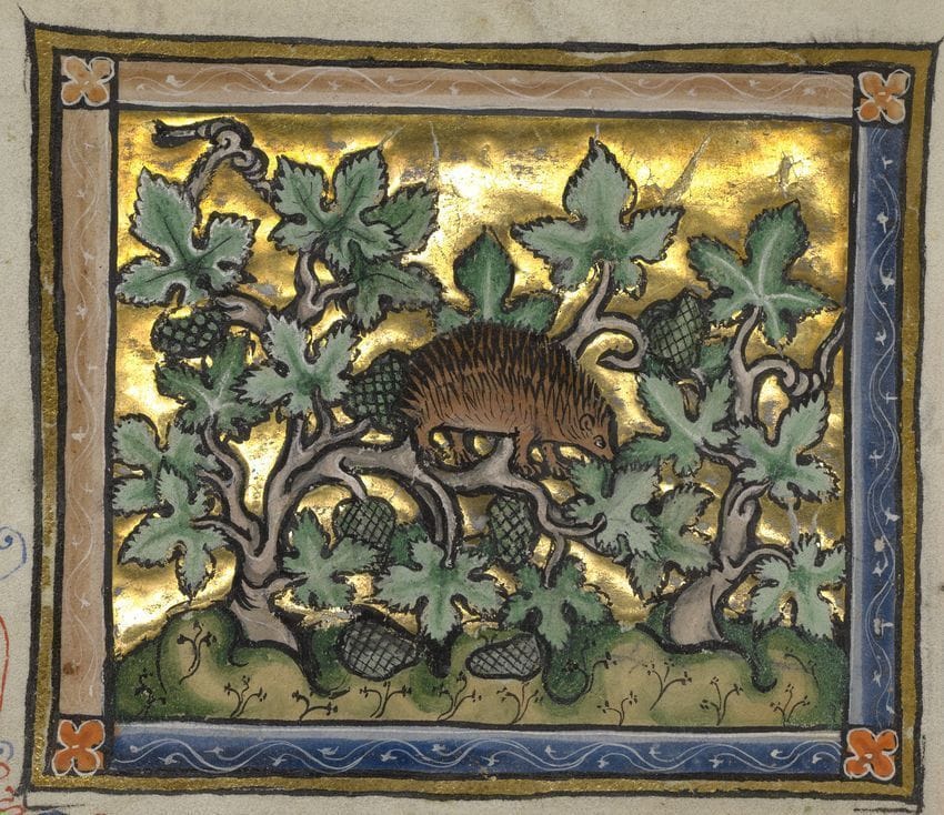 Artwork Title: A Hedgehog, about 1270