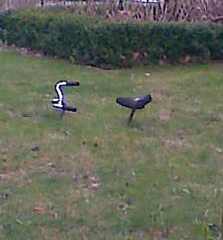 Artwork Title: undefined