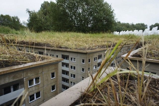 Artwork Title: undefined