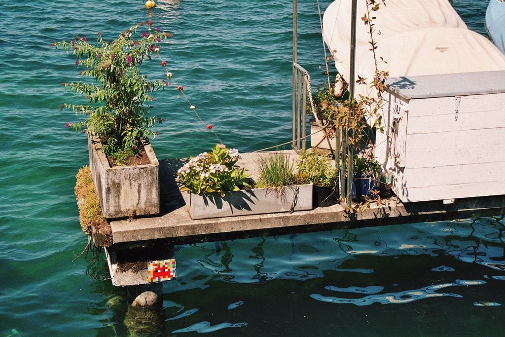 Artwork Title: undefined