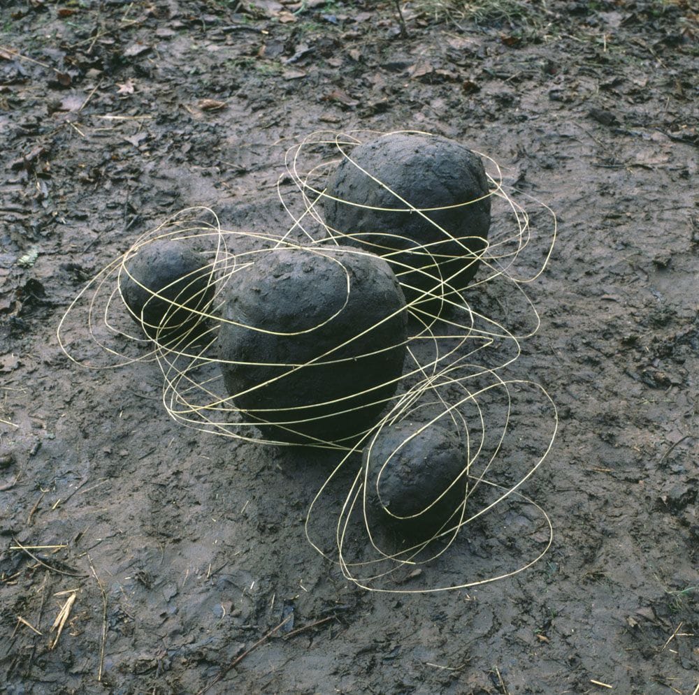 Artwork Title: Grass Stalk Line And Mud Covered Rocks
