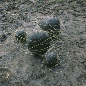 Artwork Title: Grass Stalk Line And Mud Covered Rocks