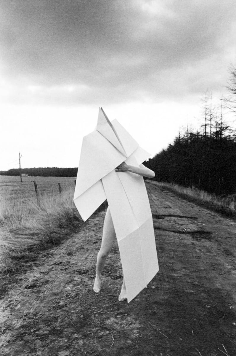 Artwork Title: Paper Plane