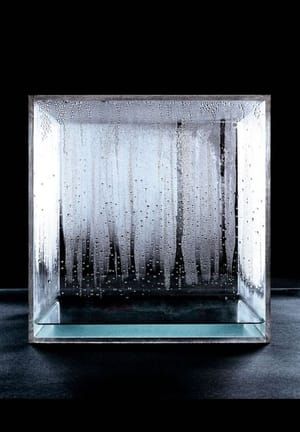 Artwork Title: Condensation Cube