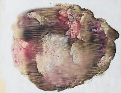 Artwork Title: L'embryon rouge