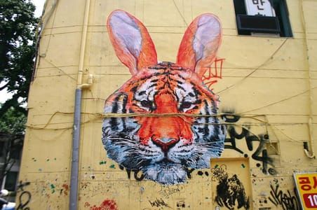Artwork Title: Tiger Rabbit