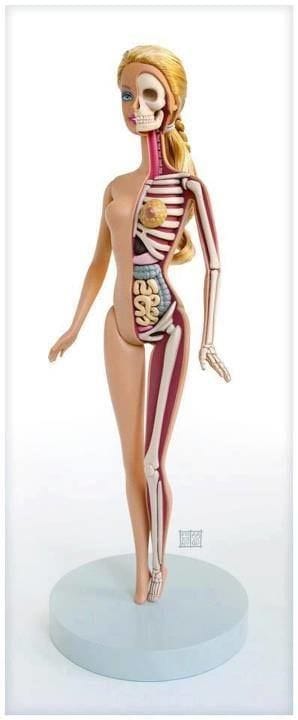 Artwork Title: Anatomy Of A Barbie