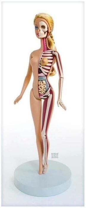 Artwork Title: Anatomy Of A Barbie