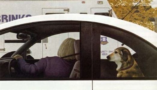 Artwork Title: Dog in Car