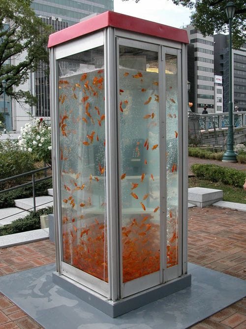 Artwork Title: Goldfish Phonebooth
