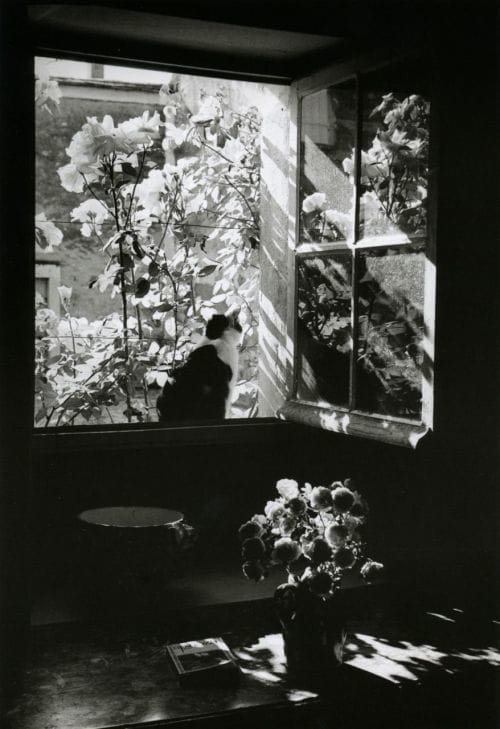 Artwork Title: Stanislas at the Window  France