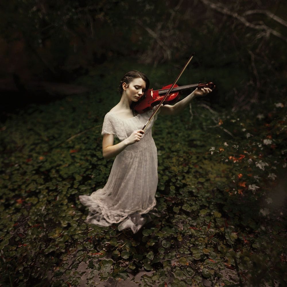 Artwork Title: Weeping For The Summer