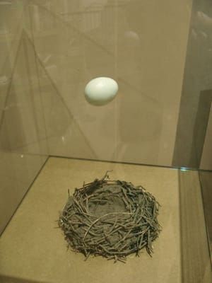 Artwork Title: Egg and Nest