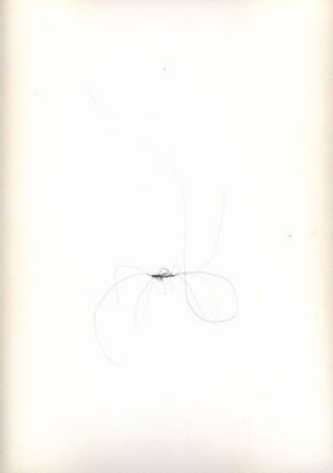 Artwork Title: Untitled (Hair 7)