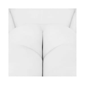 Artwork Title: Untitled