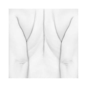 Artwork Title: Untitled