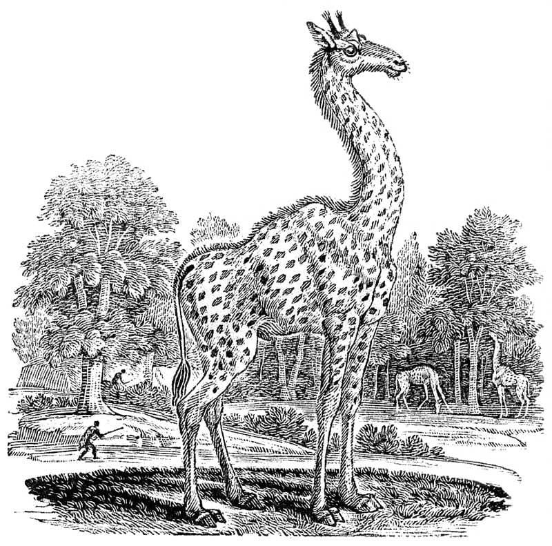 Artwork Title: The Giraffe (Cameleopard)