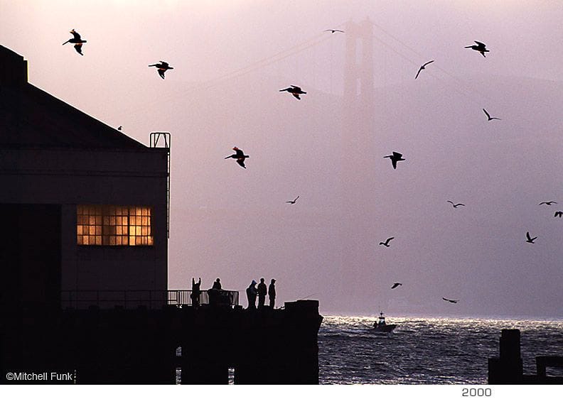 Artwork Title: undefined