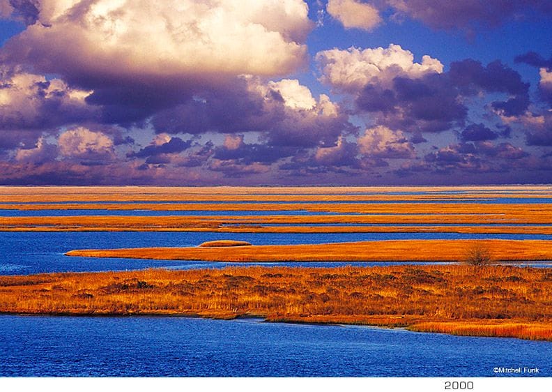 Artwork Title: undefined