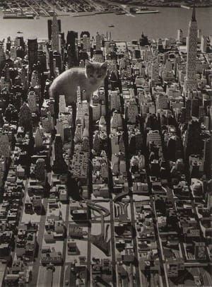 Artwork Title: Cat on Manhattan