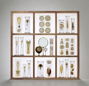 Artwork Title: Cabinet of Curiosities