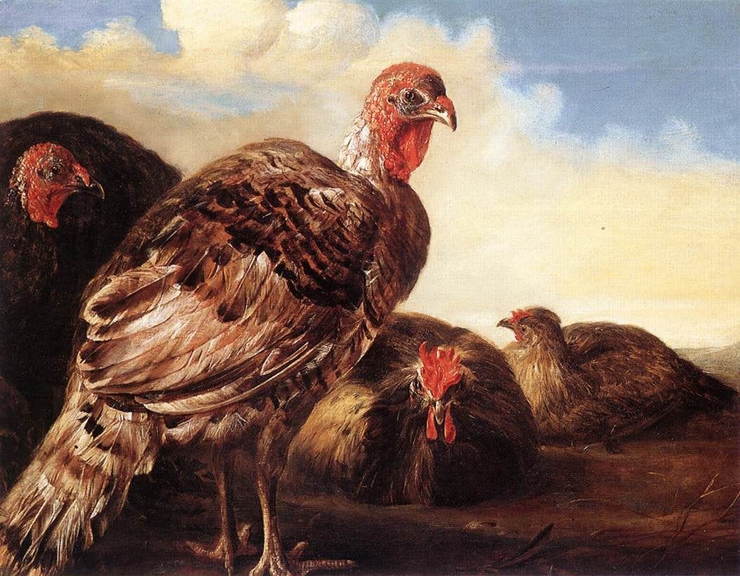 Artwork Title: Domestic Fowl