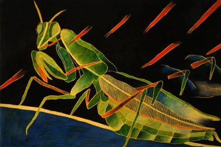 Artwork Title: Mantis