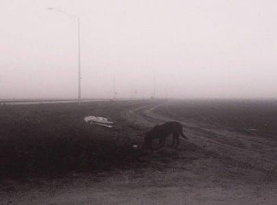 Artwork Title: Untitled