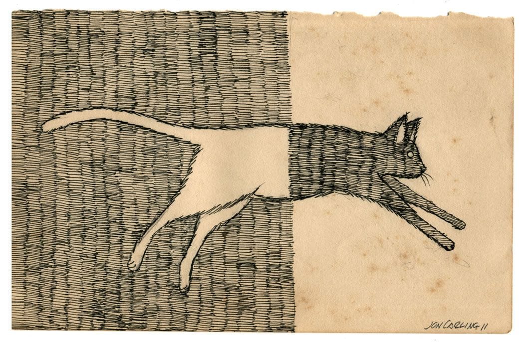 Artwork Title: Catthroughyou