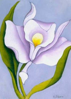 Artwork Title: White Orchid