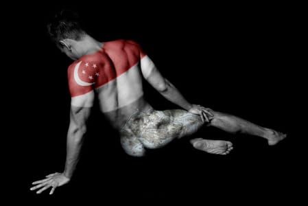 Artwork Title: Singapour