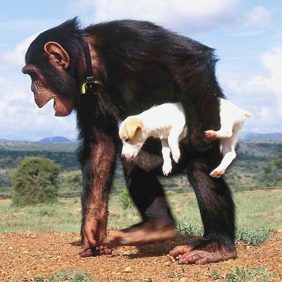 Artwork Title: undefined