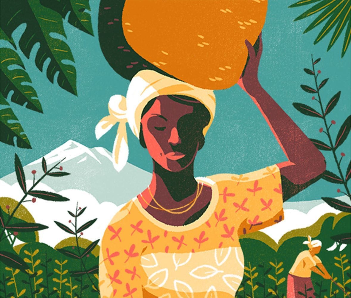 Artwork Title: Archer Farms Coffee: Organic Tanzania