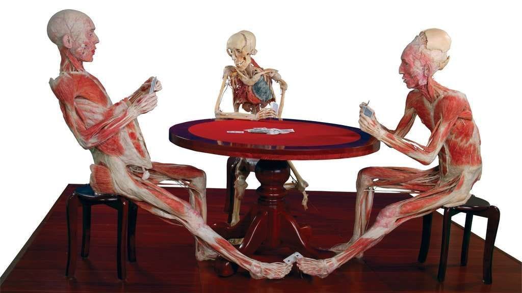 Artwork Title: undefined