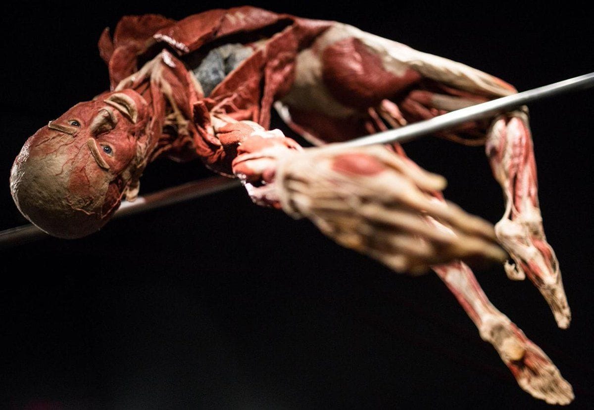 Artwork Title: undefined