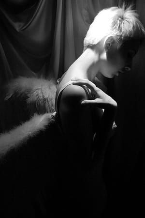 Artwork Title: Untitled