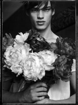 Artwork Title: Untitled