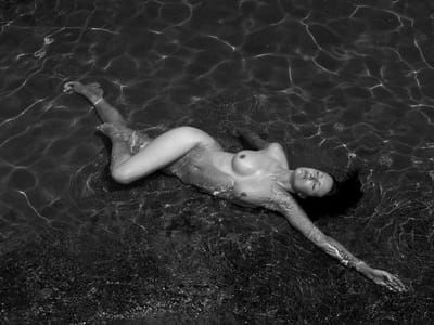 Artwork Title: Untitled
