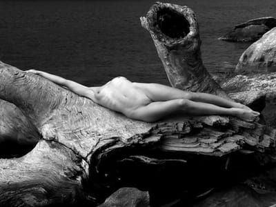 Artwork Title: Untitled