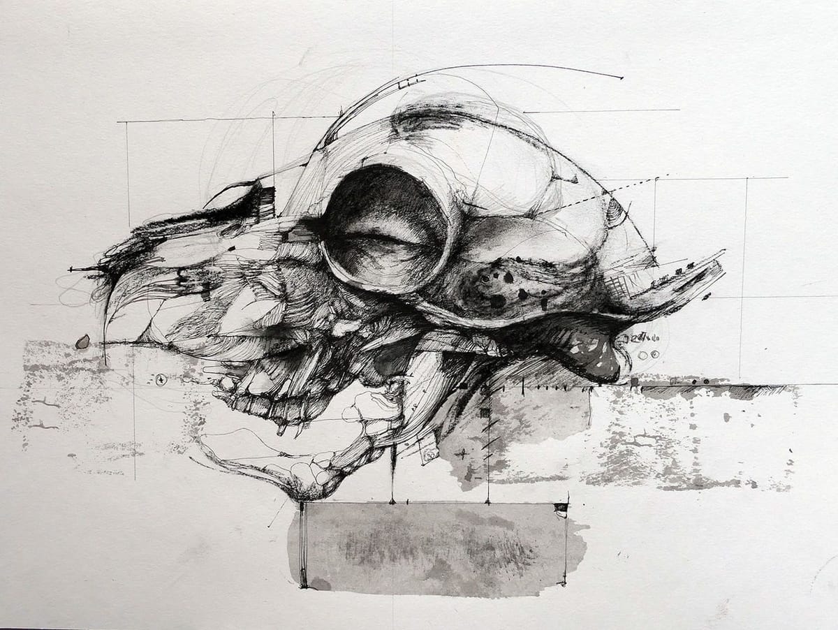 Artwork Title: Bf008