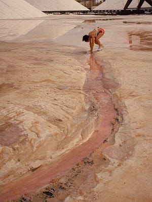 Artwork Title: Untitled