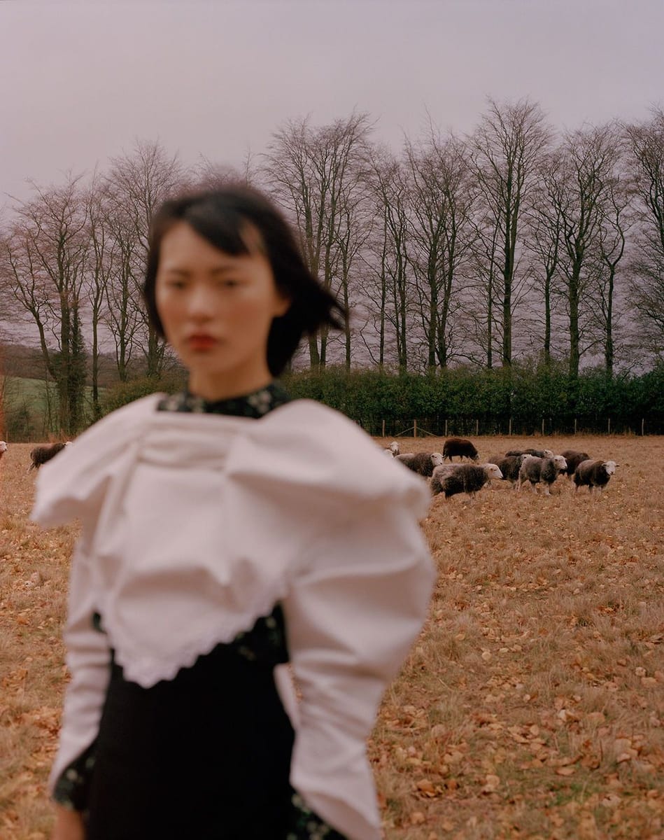 Artwork Title: undefined