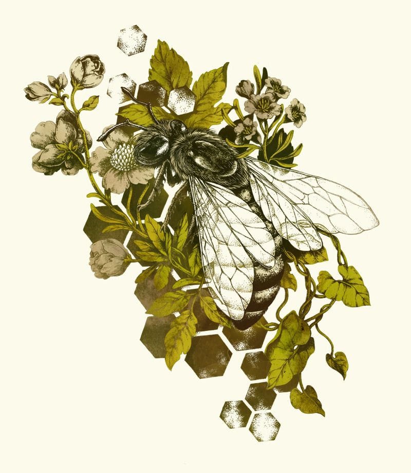 Artwork Title: Honeybee