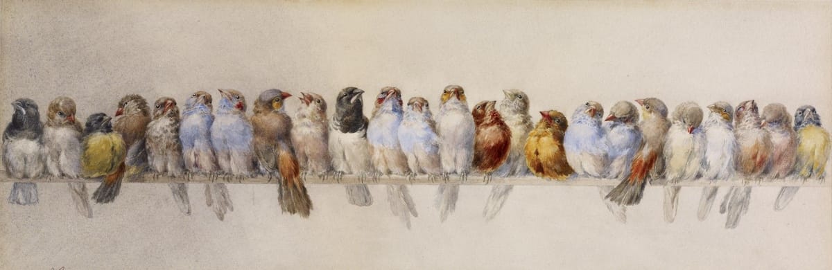 Artwork Title: A Perch of Birds